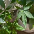 当サロンの特徴